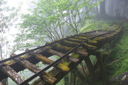 destroyed-and-abandoned:Abandoned Railroad, Victoria Peak, TaiwanSource: 小巨人看世界 (flickr)