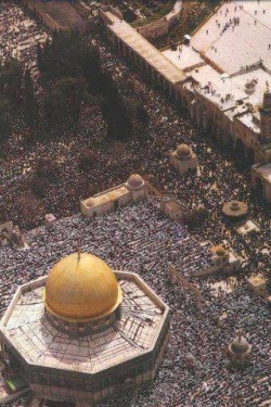 tema-m:  where-is-my-sanityyy:  Prayer time at the Dome of the Rock in Jerusalem on the first day of Ramadan 2013   // 