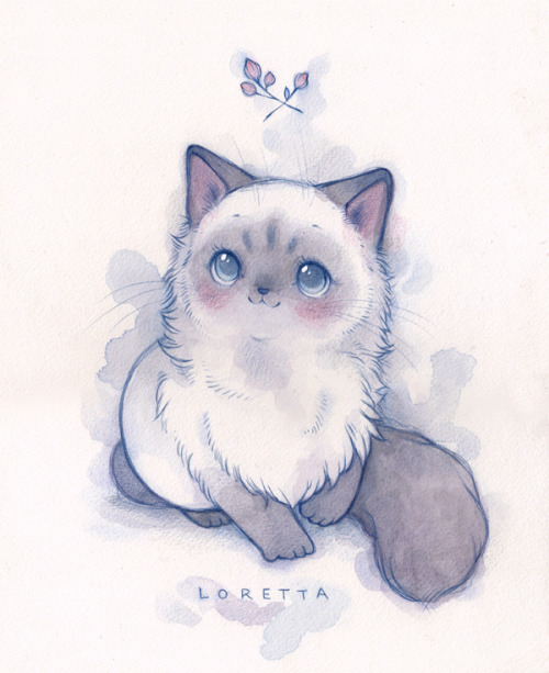 foreversoftcore: Cat Portraits by Lindsay Campbell