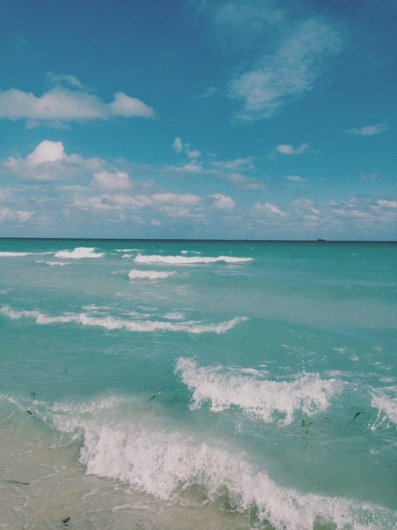 danielodowd:  ohkaypaige