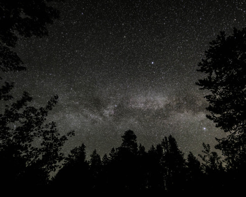 &ldquo;A Window Through The Trees&rdquo; - Milky Way taken from camp in Grand Teton National