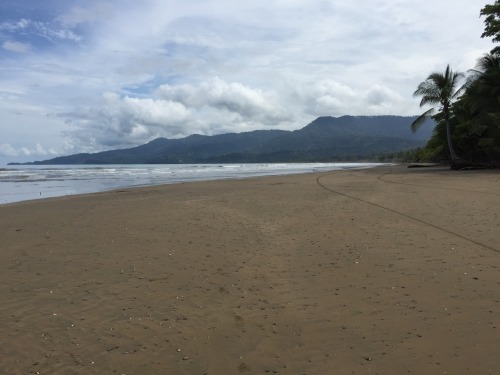 Ballena Bay For more: @eatlovetravelcostarica