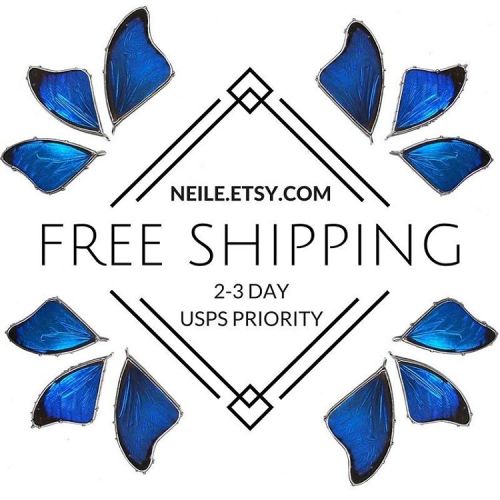 For all the procrastinators like me, I’m offering free priority shipping until 12/20, my deadl