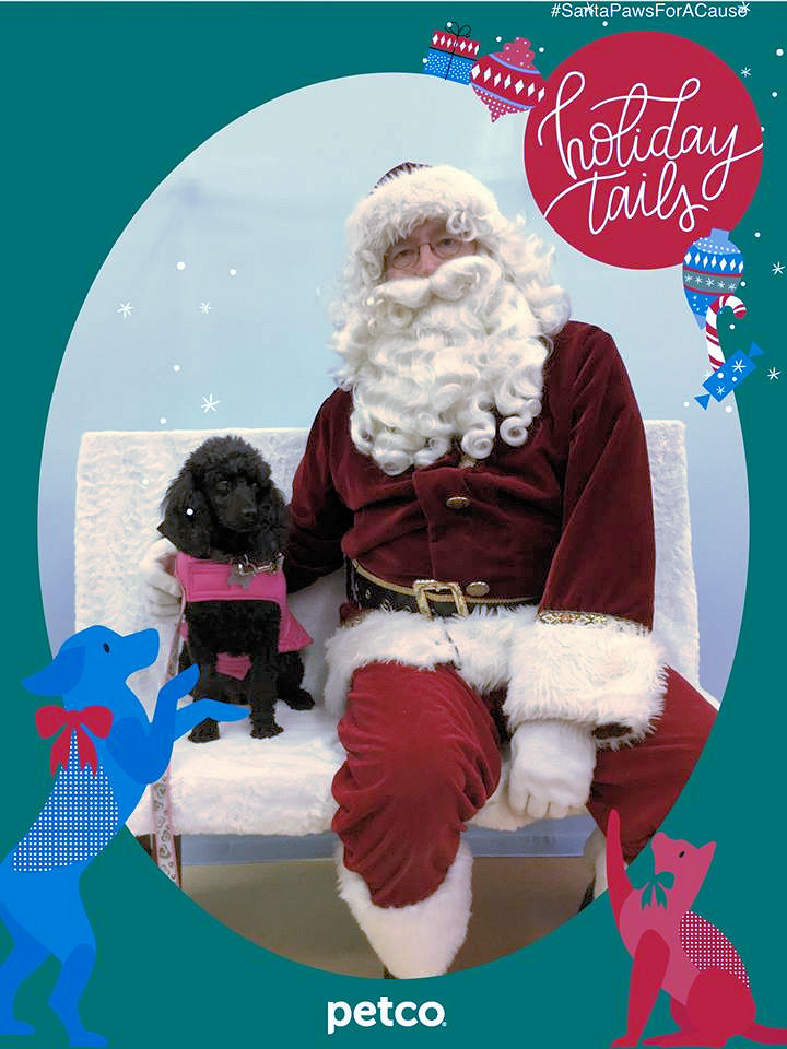 Angels for Sara — Santa agrees to December 22 Petco photo encore!