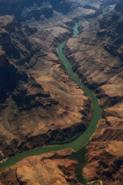 travelingcolors:  Grand Canyon’s Parent