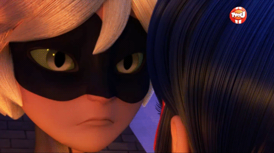 Chat Kisses Ladybug