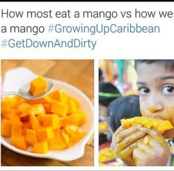jehovahhthickness:  atasteoflee:  gunzonyatmblr:  jehovahhthickness:  It’s a murder scene when I eat mangoes 😩  Exactly 😭😭😭😭😭  The left side turned me all the way off  Ain’t nobody got time to be cutting up mangoes. Hell naw. Tear