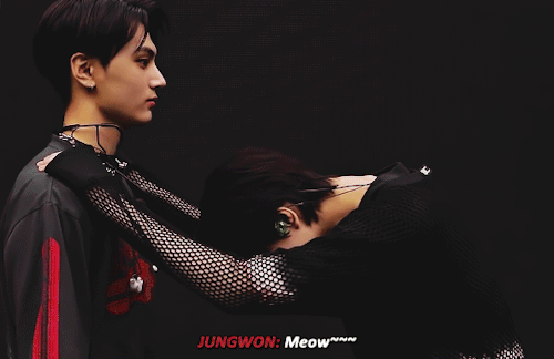 JAYWON: Maybe Meow Will Be Our Always.