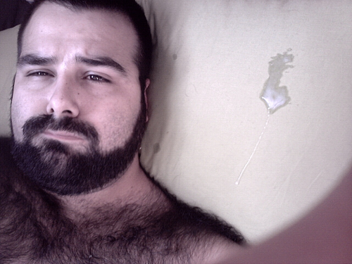 bearso:  More bears?,Follow me! ↘BEARSO! 