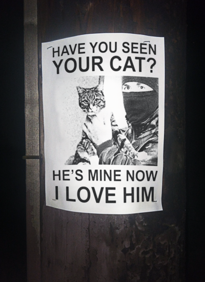liartownusa:
“ Have You Seen Your Cat?
”