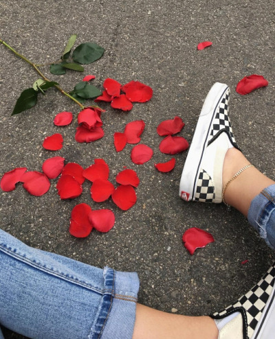 checkerboard vans aesthetic