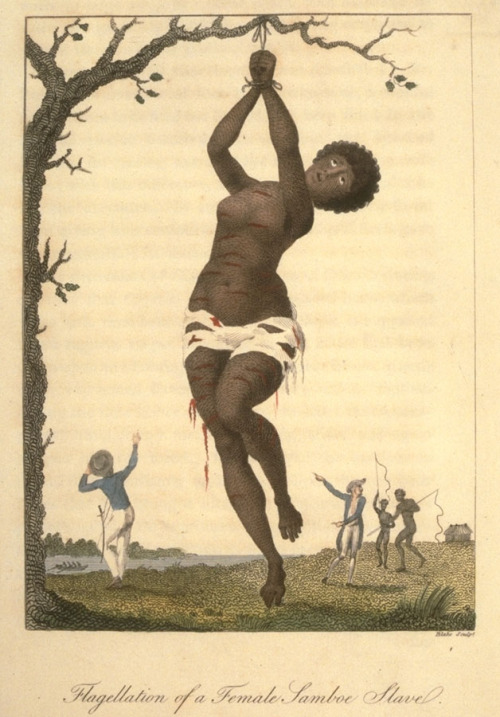 africandiasporaphd:Image ReferenceNW0204SourceJohn Gabriel Stedman, Narrative, of a Five Years&rsquo