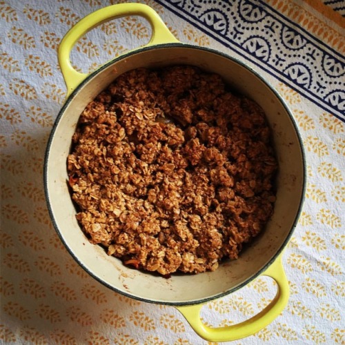 That’s the way the apple crumbles. #applecrumble #applecrisp #baking #thanksgiving https://www.inst