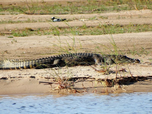 Botswana Ist Ein Weites Binnenland Mit Einem Umfang Von Circa 582 000 Quadratkilometern. Zwei Drittel