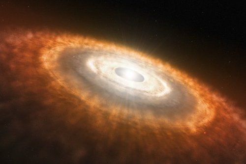 Porn Pics wonders-of-the-cosmos:    A protoplanetary
