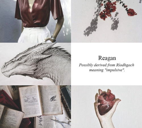 Aesthetic name: Reagan – Gryffindor, requested by aesthetic-addictt