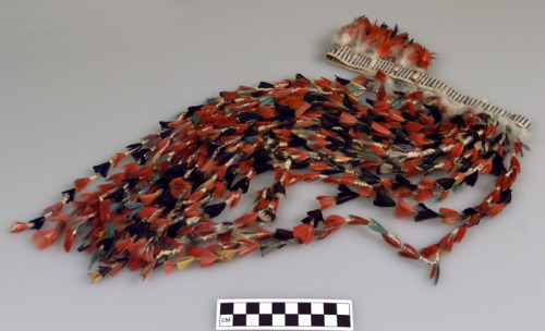 Headdress worn during naming ceremonies, probably Tembé (Tembe) (attributed said to have been collec