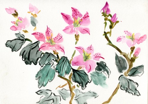 havekat:  Azaleas of Childhood Original on Etsy 贘.00 