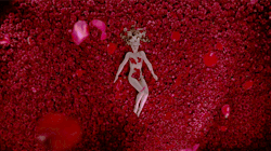 kubriq:  American Beauty (1999) dir. Sam