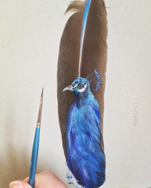 Painting on feathers is nothing new, but hoping what I am doing next with it is p.s this may be my n