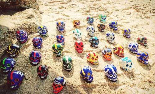 Just random treasures found on the beach of Mexico&hellip; &hellip; &hellip; &hellip; &hellip; &he