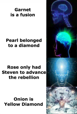 stevensdankmemes: Su theories over time and their intellectualism 