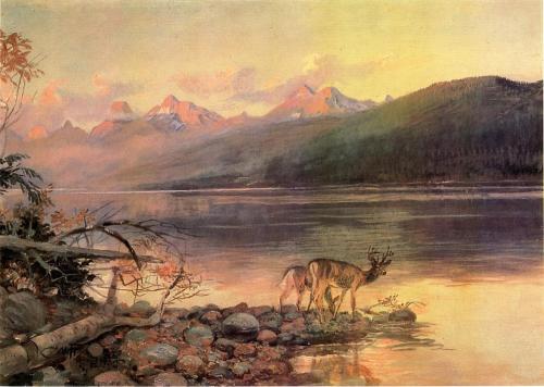 artist-charles-russell: Deer at Lake McDonald, 1908, Charles M. Russell