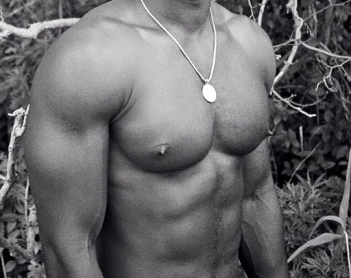 https://nipplepigs.tumblr.com/post/153745216445