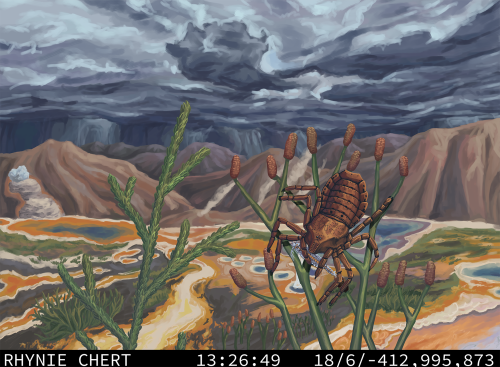 Trailcam: Rhynie Chert Biota, Fossil Deposit Known For It's Very Detailed Fossils Of Plants And Invertebrates