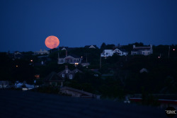 rspnyc:  Blood moon setting over the quaint little beach town of Montauk, New York.Photographer: Ryan Sherman, rspnyc