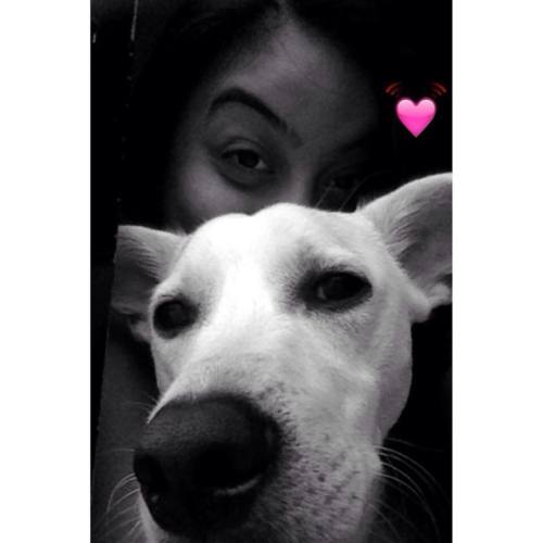 Quifoiheincachorrinho     🐶💕#snapsave adult photos