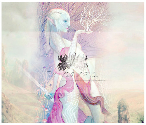 nihonhime: ÐA codex entry:Ʈhe ↁalish Elveȿ