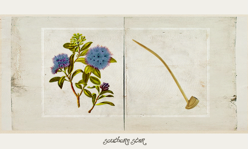 ohsofili: Herblore of the Shire by Meriadoc Brandybuck. 