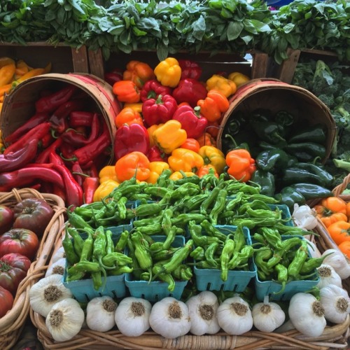 Hot damn, it’s pepper season My favorites are these Japanese shishitos (pictured in the middle of th