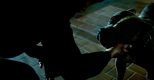 reevesdriver:  I’d personally like to thank the makers of John Wick for giving