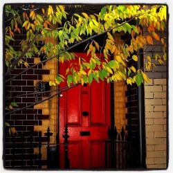 darausm:2018.06.01 Framed #door #autumn #autumnleaves #autumn🍁 #leaves #wall #green #brick #weather #season #wanderlust #melbourne #sidewalk #nature #nature_lovers #naturelovers #red  (at Melbourne)
