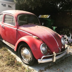 lanerussellvw:  Sent to us from a customer. Who can guess the year of this vintage Beetle? –Lane Russell Quality VW Parts for your Classic Beetle &amp; Bus