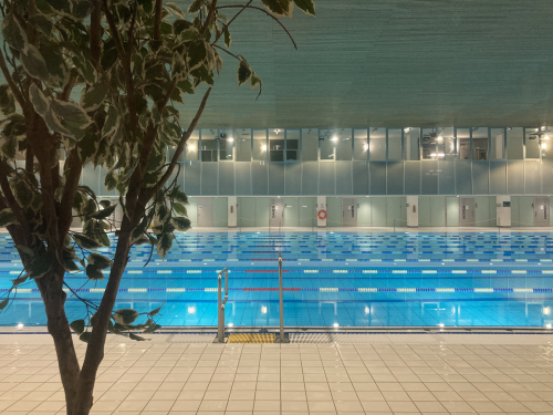 Tag 2510 / Schwimmfenster ab 15.30 Uhr