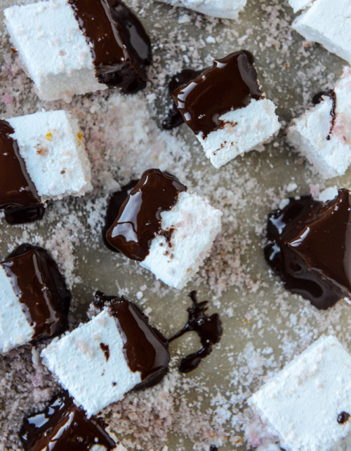 sweetoothgirl: chocolate dipped mini champagne marshmallows with blood orange sugar