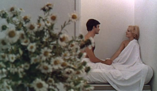 Le bonheur (1965)dir. Agnès Varda / dop. Claude Beausoleil &amp; Jean Rabi