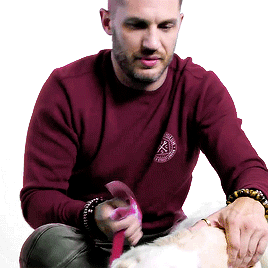 ann-fortunately: Tom Hardy Babysits Rescue Dogs From Battersea Dogs Home