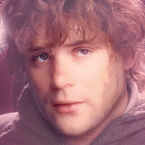 mithrandirn: @chalabrun requested: Sean Astin as Samwise Gamgee THE LORD OF THE RINGS2001 - 2003 | d