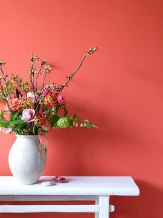baetology:  coral moods // @thelittlertiddy