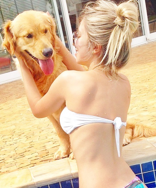 amor.