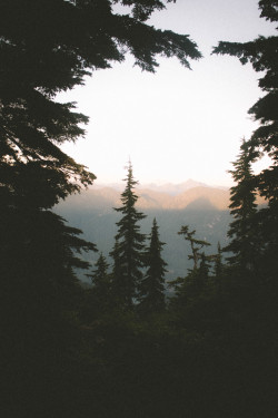 salboissettphoto:  Midway views from our hike up to the summit at Mount Seymour snapchat: salboissett instagram: young.seeker 