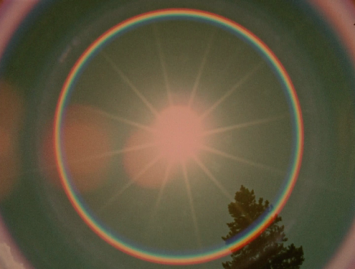 365filmsbyauroranocte:Star Garden (Stan Brakhage, 1974)