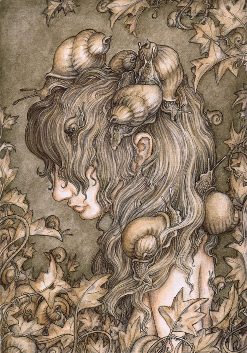 fer1972:  Illustrations by Adam Oehlers