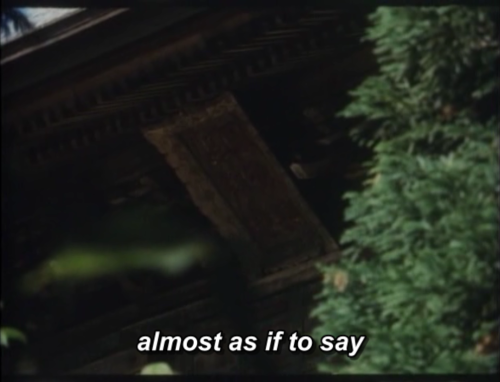 aozoramusume:I Lived, But… - A Biography Of Yasujiro Ozu (1983)