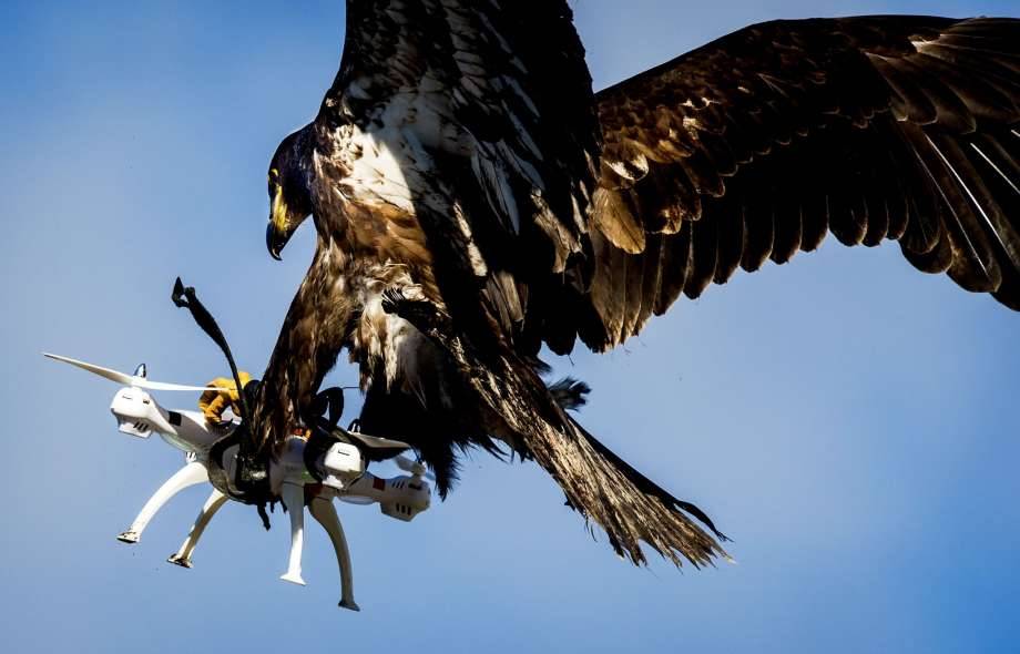 art-nimals:  this has got to be the greatest headline 