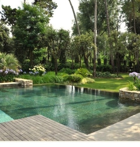 Contemporary Pool (Florence)